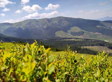 slovakia/low-tatras-national-park/attraction/pod-orlou-skalou