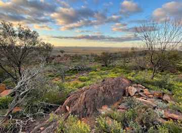 australia/far-west/attraction/living-desert-sculptures