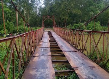 bangladesh/sylhet-division/attraction/lovachora-tea-estate