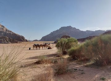 jordan/eastern-desert/attraction/the-giant-stone-head-in-wadi-rum-desert