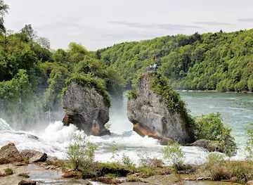 Rhine Falls