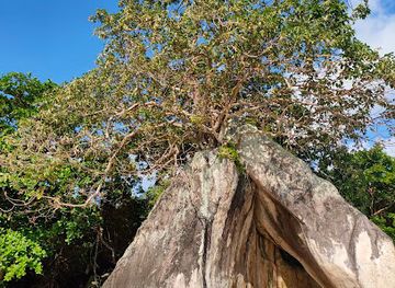 malaysia/tioman-island/attraction/gua-gelamin