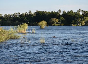 zimbabwe/zambezi-valley/attraction/pure-africa-waterfront