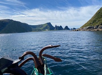 norway/nordland/attraction/puffin-safari-as