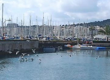 spain/palma-de-mallorca/attraction/la-lonja-marina-charter