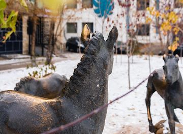 mongolia/zuunmod/attraction/gurvan-unaga-barimal