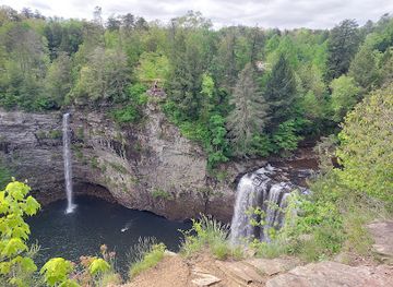 tennessee/fall-creek-falls-state-park/attraction/fall-creek-falls-betty-dunn-nature-center