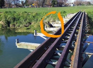 new-zealand/blenheim/attraction/marlborough-art-society