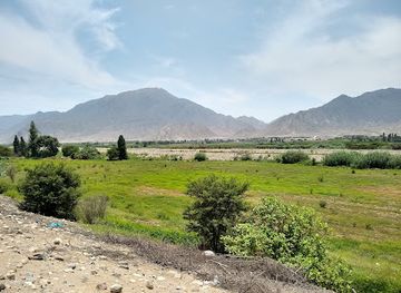 peru/north-coast/attraction/sacred-city-of-caral