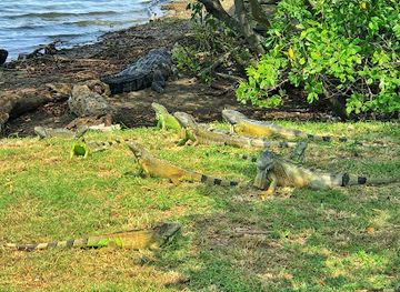 mexico/tamaulipas-coast/attraction/laguna-del-carpintero-tampico