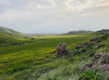 jordan/um-qais/attraction/waqas