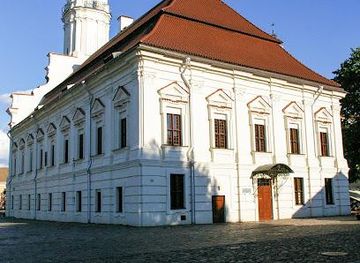 lithuania/kaunas/attraction/kaunas-town-hall