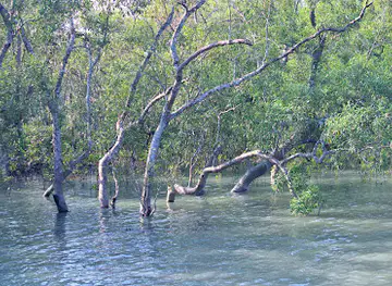 Delta River
