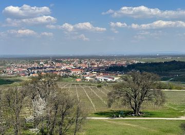 czechia/palava/attraction/kolonada-reistna