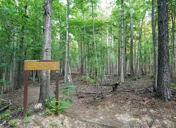 north-carolina/uwharrie-national-forest/attraction/uwharrie-recreation-trailhead
