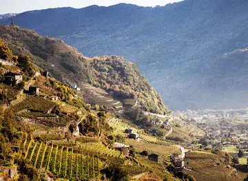 Strada del Vino della Valtellina