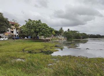 sri-lanka/colombo/attraction/thalangama-lake