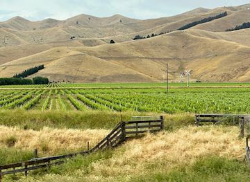 new-zealand/marlborough/attraction/marlborough-flyer