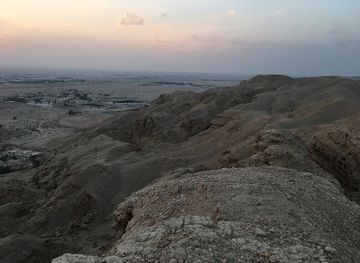 saudi-arabia/riyadh/attraction/wild-baboons