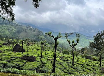 india/munnar/attraction/munnar-pin