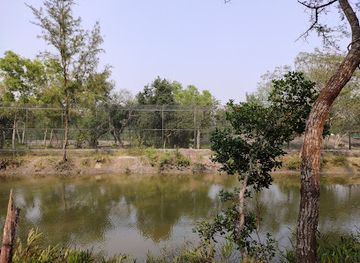 bangladesh/sundarbans-national-park/attraction/sundarban-tiger