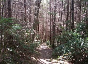 washington/whidbey-island/attraction/putney-woods-county-park