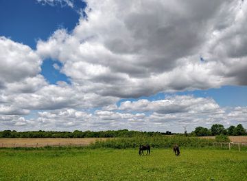 illinois/prairie-state/attraction/summerfield-zoo