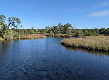north-carolina/new-bern/attraction/latham-whitehurst-nature-park