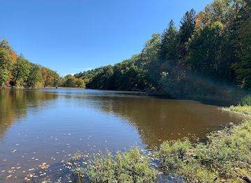 indiana/yellowwood-state-forest/attraction/brown-county-state-park-nature-center