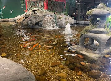 texas/el-paso/sunland-park/attraction/jungle-reef