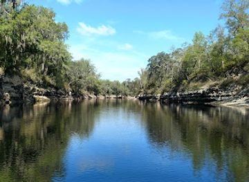 florida/suwannee-river/attraction/woods-ferry-conservation-area