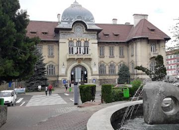 romania/neamt/attraction/history-and-archeology-museum