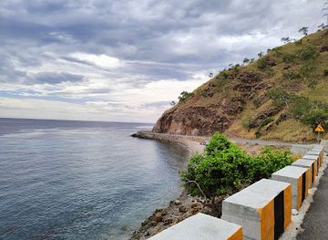 timor-leste/atauro-island/attraction/one-tree