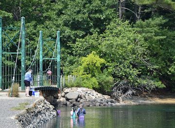 maine/downeast/attraction/wiggly-bridge