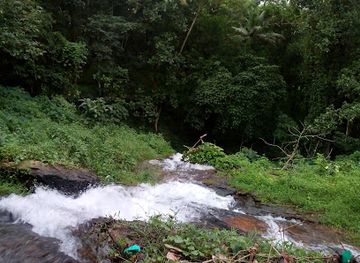 india/kerala/attraction/thonippara-waterfalls