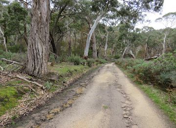 australia/western-district/attraction/langi-ghiran-hidden-lagoon