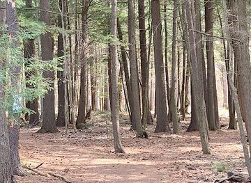 canada/ottawa-valley/attraction/gillies-grove-and-house-national-historic-site-of-canada