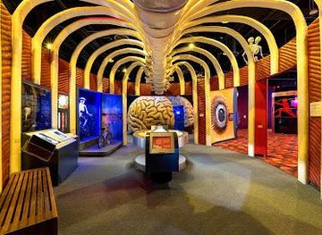 texas/sugar-land/attraction/the-health-museum