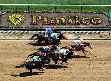 maryland/towson/attraction/pimlico-race-course
