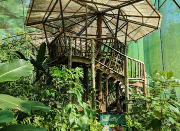 costa-rica/osa-peninsula/attraction/osa-interactive-gardens