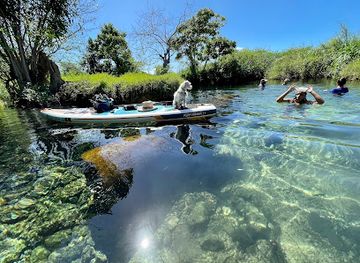 puerto-rico/arecibo/attraction/zanja-fria