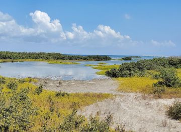 texas/south-padre-island/attraction/laguna-madre-nature-trail