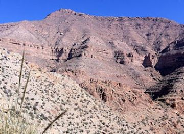 tunisia/tunisian-sahara/attraction/natural-reserve-arabath