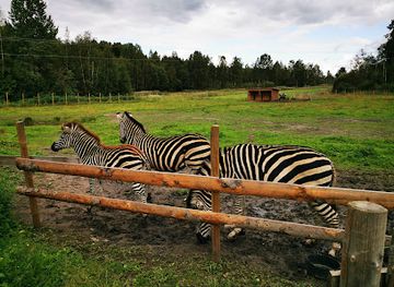 norway/hedmark/attraction/tangen-zoo