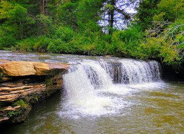 west-virginia/coopers-rock-state-forest/attraction/albert-falls