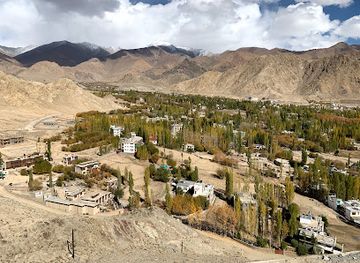 india/ladakh/attraction/sindhu-ghat-viewpoint