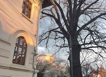 romania/focsani/attraction/stejar-secular-universitate