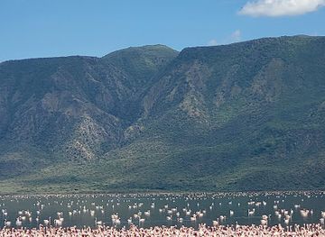 kenya/lake-bogoria/attraction/flamingo-viewpoint