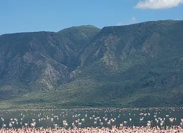 Flamingo viewpoint