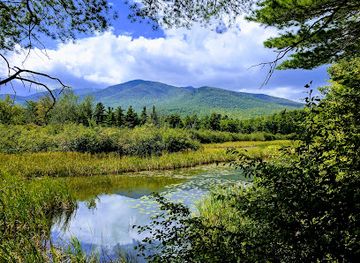 new-york/adirondack-mountains/attraction/adirondack-wildlife-refuge-and-rehab-center